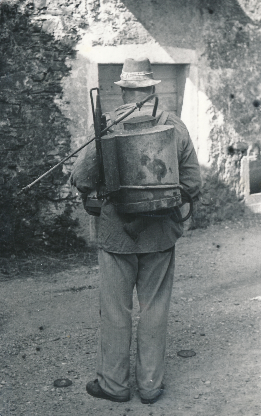 eika image
